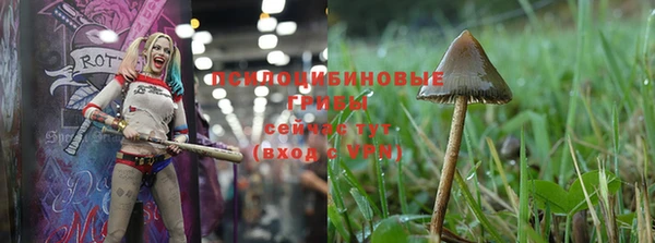 apvp Липки