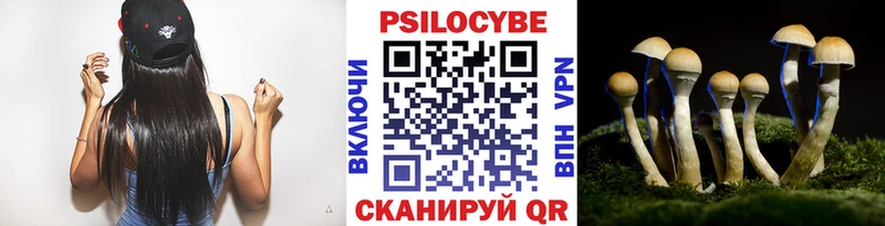 как найти наркотики  Георгиевск  Псилоцибиновые грибы Cubensis 