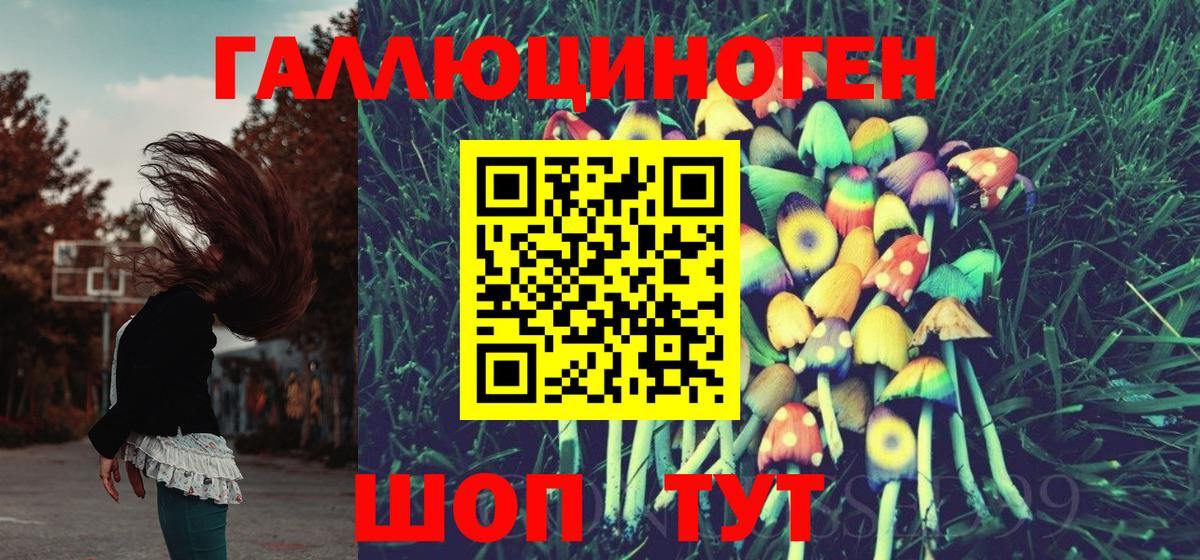 Псилоцибиновые грибы GOLDEN TEACHER  купить наркотик  Георгиевск  Вход с VPN 